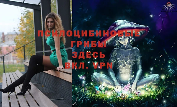 гашик Баксан