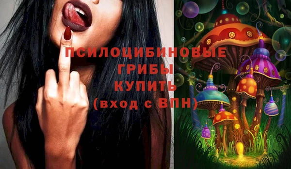 ПСИЛОЦИБИНОВЫЕ ГРИБЫ Балахна